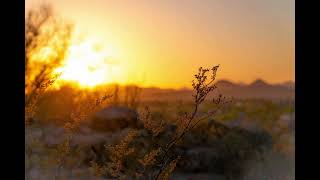 Days Like This (Relaxing Music No Copyright)