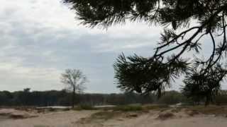 Op de grote stille heide