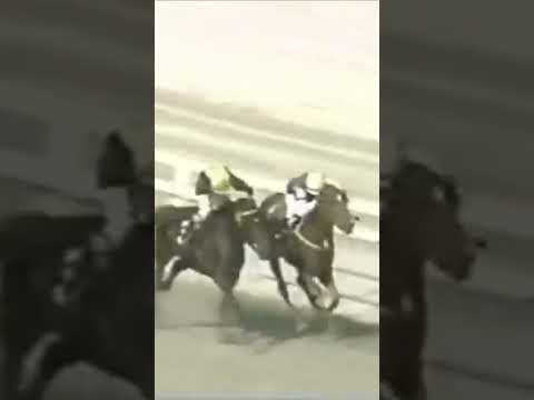 Cateto - Clássico Jockey Club do Rio Grande do Sul 1989 #horseracing