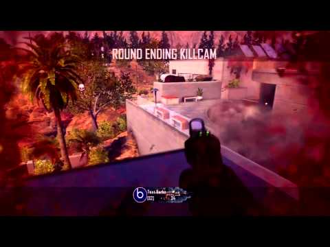 TaMe Barkz: Leftovers #1 - Black Ops II