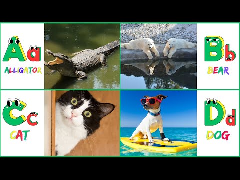 A to Z Alphabet Song for Kids | Welcome to a world of alphabets