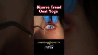 Bizarre Trend: Goat Yoga #movie #movierecap #moviereview