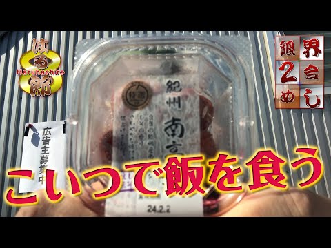 [Límite de 2 comidas] ¡Intenta preparar 2 comidas con solo una ciruela encurtida!