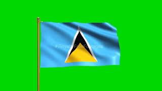 Saint Lucia National Flag | World Countries Flag Series | Green Screen Flag | Royalty Free Footages