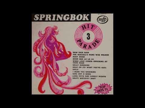 The Seagull's Name Was Nelson (Des & Dawn Lindberg cover) ..... SPRINGBOK HIT PARADE 3