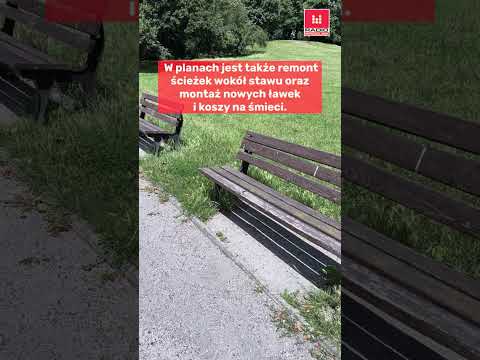 Spore zmiany w Parku Tołpy