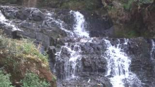 preview picture of video 'Elephant watter falls shilong, Meghaliya'