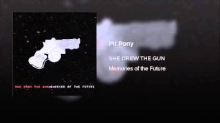 Pit Pony