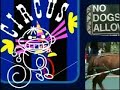 PBS Kids Monkey Is Fun