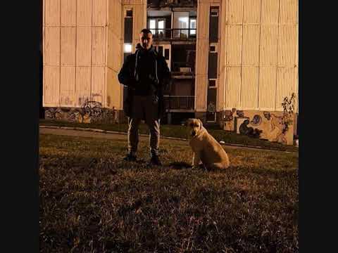 Frunzla-Perspektiva 2019