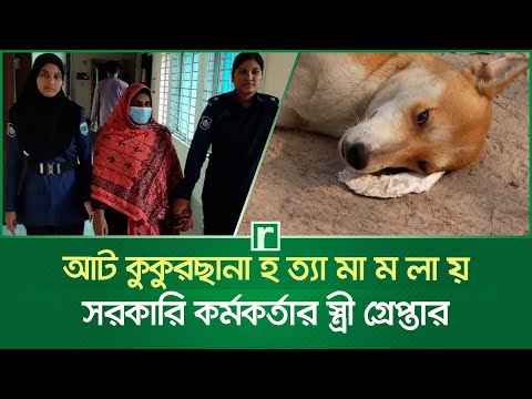 আট কুকুরছানা হ'ত্যা মা'ম'লা'য় সরকারি কর্মকর্তার স্ত্রী গ্রে'প্তা'র | Puppy | Pabna News | RisingBD