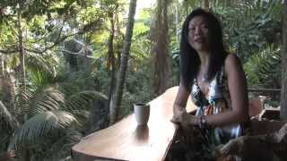 Ananda Rainforest Spa, Currumbin Valley, Queensland, Australia