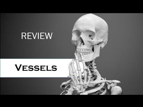 BIO 202 Review Vessels