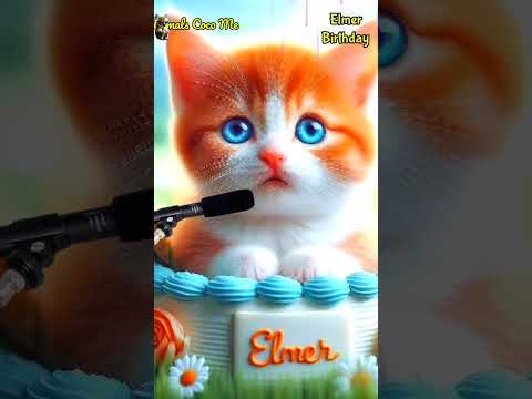 HAPPY BIRTHDAY TO YOU ELMER | HAPPY BIRTHDAY SONG WITH NAMES | Adorable Cute Cat 😺 #cat #cute