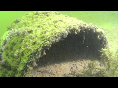 WZT Zürisee - Videolog