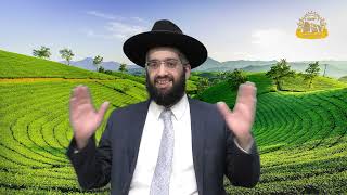 בִּימִינוֹ תחבקני בשלושה לבושים מזהירים |הרב אלרועי כהן| מתיקות התניא (מוסדות כיסא רחמים) - התמונה מוצגת ישירות מתוך אתר האינטרנט יוטיוב. זכויות היוצרים בתמונה שייכות ליוצרה. קישור קרדיט למקור התוכן נמצא בתוך דף הסרטון בִּימִינוֹ תחבקני בשלושה לבושים מזהירים |הרב אלרועי כהן| מתיקות התניא (מוסדות כיסא רחמים) - התמונה מוצגת ישירות מתוך אתר האינטרנט יוטיוב. זכויות היוצרים בתמונה שייכות ליוצרה. קישור קרדיט למקור התוכן נמצא בתוך דף הסרטון