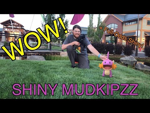16 Shinies on Mudkip Community Day in Pokemon GO! ft. TheTrainerClub