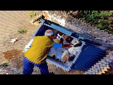 Arinka Šegando i Franci Blašković  - Ja sam penzić gol i bos