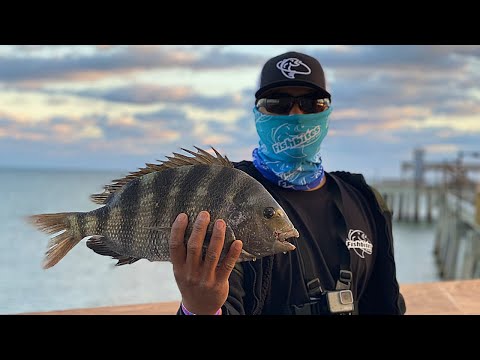 Fishing Piers for Sheepshead on YouTube