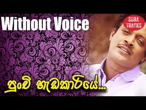 Punchi Hadakariye Karaoke Without Voice Sinhala Songs Karaoke Asanka Priyamantha Peris Karoke