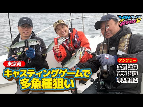 東京湾・キャスティングゲームで多魚種狙い(ソルパラTV・第145回2023年7月6日放送)
