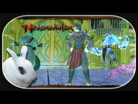NEVERWINTER: Adventures in Wildspace 🐇 04 - Die Imperiale Zitadelle (Adept) [ATIC]