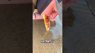 Giant Beach Worm Catch with Pizza — Full Transcript & Summary