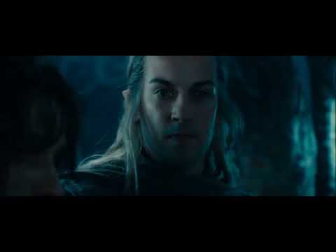 LOTR The Fellowship of the Ring - Extended Edition - Lothlórien