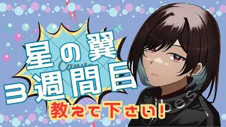 星の翼28日目！カスタムで練習したいので参加者募集です！