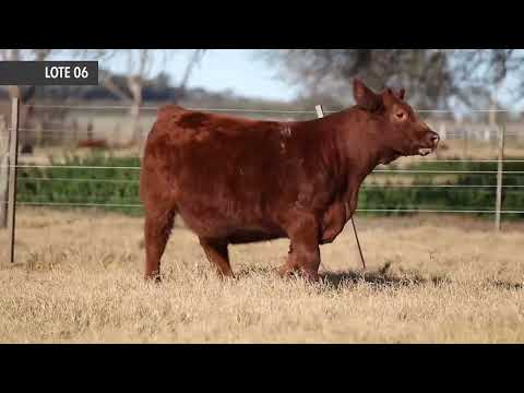 RUBETA FONTANA 8572 - Próximo remate de Cabaña La Rubeta – Sábado 13 de Agosto