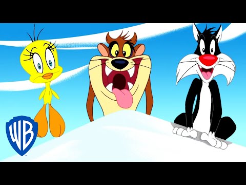 Looney Tunes en Français 🇫🇷 | A l’aventure avec Titi, Tax et Grosminet | WB Kids