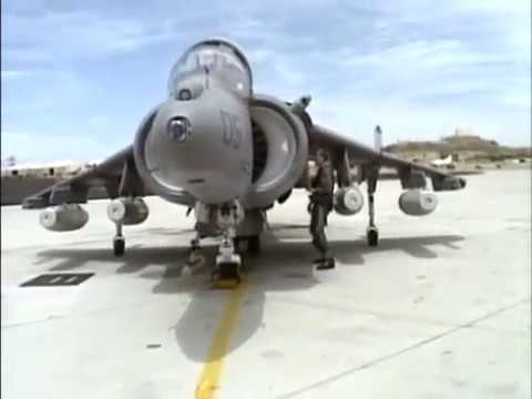 Discovery Wings   Harrier ✪ Wings & Discovery Documentary
