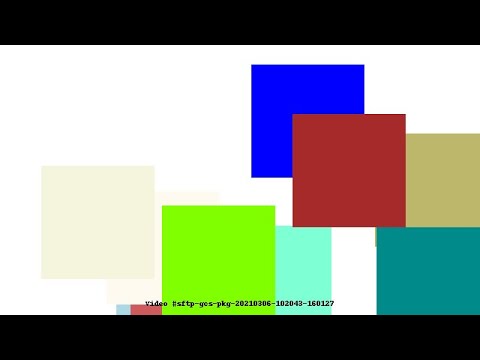 Video #sftp-gcs-pkg-20210306-102043-160127