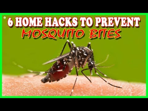 6 Home Hacks to Prevent Mosquito Bites - How To Get Rid Of Mosquito | Best Home Remedies