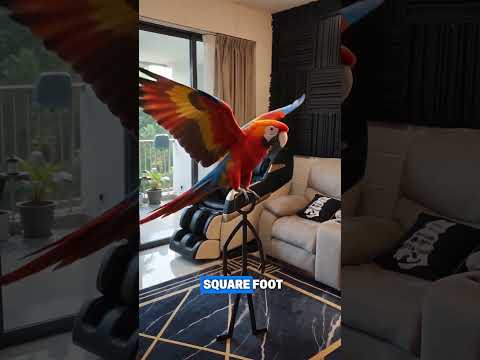 The Topiary, 19 Fernvale Lane, Seletar / Yio Chu Kang, 3 Bedrooms, 1,044 sqft, Condominium For Sale, by Dennis Lim, 500245790 - PropertyGuru.com.sg