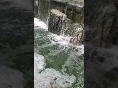 Sheridonna Designs LLC video.