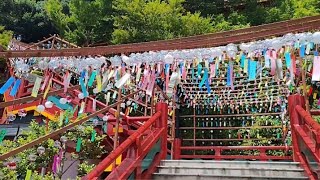 20250620 佐賀県 鹿嶋市 祐徳稲荷神社 風鈴まつり