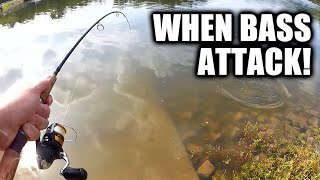 Has THIS Ever Happened to YOU? Bass Tries to EAT My Bluegill!