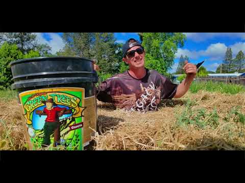 MENDO DOPE - HOW IT USED TO BE (OFFICIAL MUSIC VIDEO)