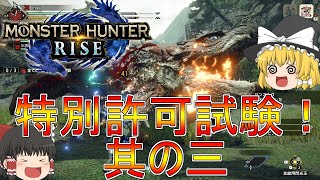 【MHR】ぼっちハンターがいくモンハンライズ！【ゆっくり実況】part28