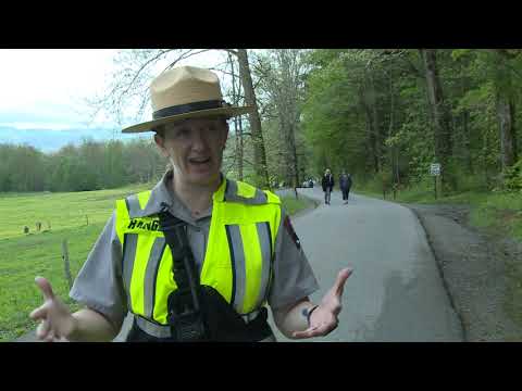 Cades Cove goes vehicle free on Wednesdays