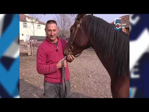 Vozio svadbu bez kočnica - druguje s konjima kao sa ljudima