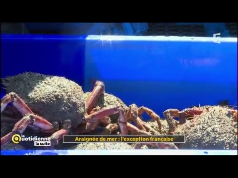 youtube video id=l_2XsQ7HFyU