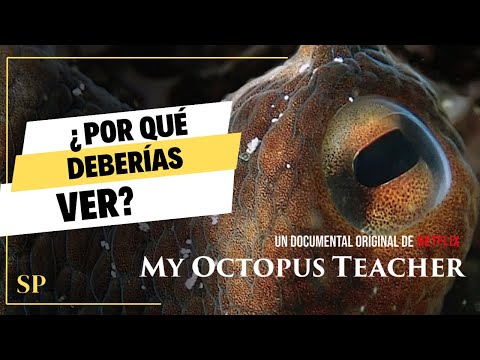 ASI COMO CUANDO QUIERES HACER UN DOCUMENTAL TIPO NETFLIX CON TU MAMA ! 😆 #fotografia