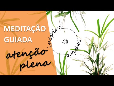 Meditação Guiada de Atenção Plena: mindfulness | Psicóloga Cristiane Garcia
