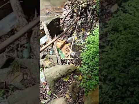 Poluição rio pedrosa Chopinzinho-pr 10/03/26