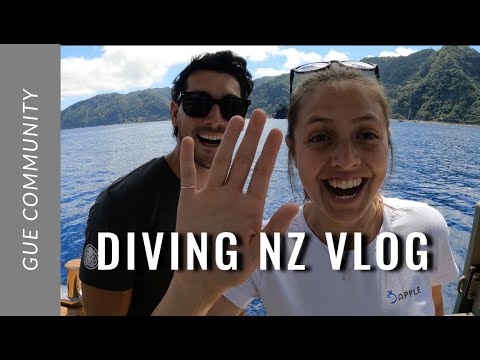 Scuba Diving Vlog: New Zealand