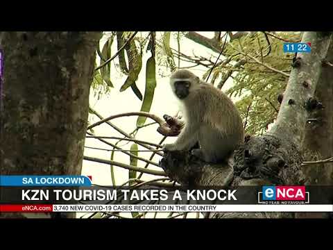 KZN tourism takes a knock