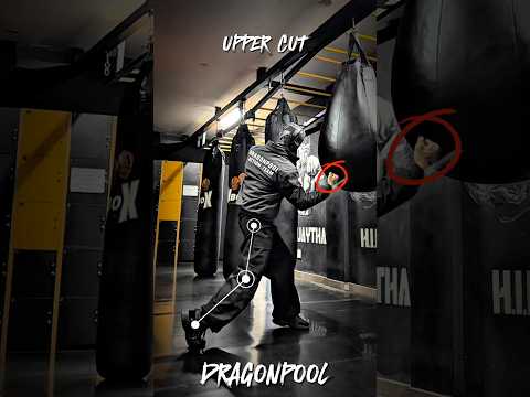Upper cut #tutorial #youtubeshorts #ytshorts #usa #russia #mma #shorts #yt #shortvideo #sports #kick