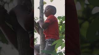 Download lagu Donyone Di Kontrak !!! #shorts #ucupklaten #solikin #dagelan mp3